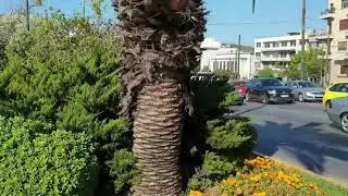 گەشتی تەواوی ووڵاتی یۆنان شاری ئەتینا خۆشترین شوێنەکانی یۆنان اجمل مكان في يونان اتينا بینەریبن