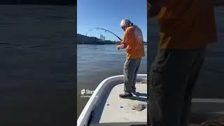Amazing Jump!!   A Giant!