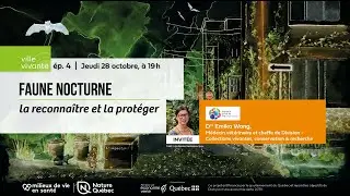 Ville vivante - &Eacute;pisode 4 - Faune nocturne