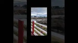 Trichy Cauvery Bridge | Trichy Bridge Cauvery Bridge Kaveri Bridge #shorts #trending #youtubeshorts