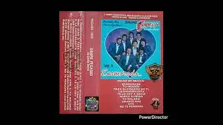 V. #1310 PEGASSO DE E.R. 