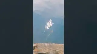 Khazar #khazar Original Mix 2026 #dolphin #fishing #nature #fish #ocean