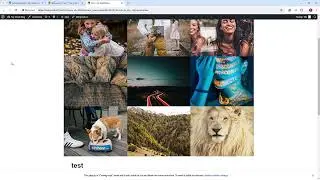 Infinite Grid Pro WooCommerce Plugin