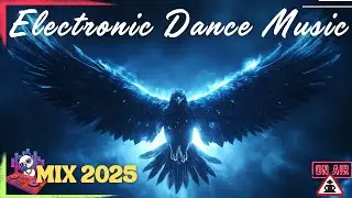 Mr.Modulation @ Ultimate Electronic Dance Music Mix 2025 | Non-Stop Festival Vibes & Club Anthems