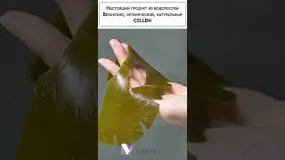 CELLBN Real Kelp Facial Mask
