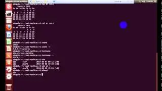 Basic Unix commands