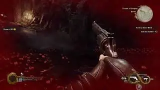 Shadow fighter starting on hard mode.