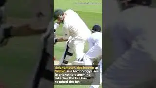 Snickometer, also known as Snicko #tech #techmore #techfact #cricket #cricket_tech