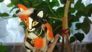 Warrior cats. Maple Tree. Art doll
