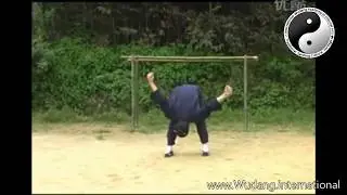 Wudang Qi Gong Five Secret Gong Mi