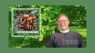 Coral Reefs - Sept. 17 Sermon Preview