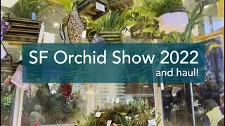 2022 San Francisco Orchid Show &ldquo;Maskquerade&rdquo; and Haul