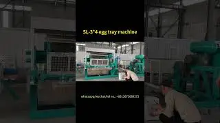 How to adjust egg tray manufacturing machine to work smoothly?