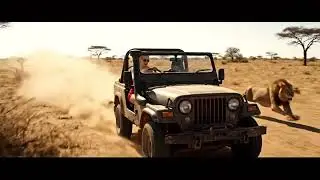 How fast can the lion run 