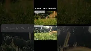 📸 Camera Lens vs Smartphone &ndash; Can You See the Difference? #shorts #cameralens