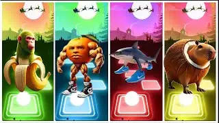 HOP FLOW! CHIMPANZINI BANANINI 🆚 UDIN DIN DIN DON 🆚 TRALALERO TRALALA 🆚 CAPIBARO COCOCINI #13