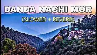 डांडा नाची मोर (Slowed + Reverb) || Manglesh dangwal, Meena Rana || Pahadi Lofi