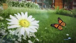Wall Climbing | Open Garden Space | Fun & Learning For Children's | The Parksyde