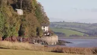 Swansea Ramblers at Laugharne