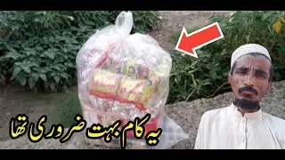 Ye Kam bahut zaroori tha is liye jana parra ! Pak village family vlogs