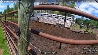 Bayfield County Sheriffs Dept Seizure Warrant Spanish Mustangs Bodycam Audio starts after 30 seconds