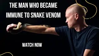 Hundreds of Bites: The Man Who BecameImmune to Snake Venom #SnakeBite#HeroicActs#SnakeVenom#Venom
