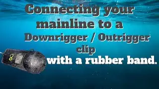 Connecting the main line to a Downrigger / Outrigger clip with a rubber band.