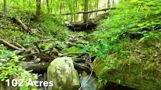 102 Acres For Sale, Ashland County, Ohio