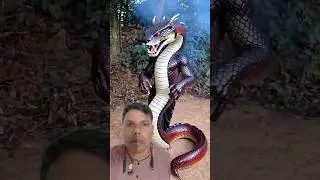 From Human to Giant Snake in Seconds  #prasvcreation 😳🐍