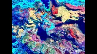 Caribbean Explorer ll 2025