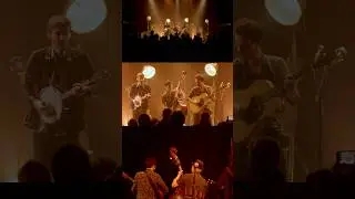 COCODRI - CUCKOO (Live)
