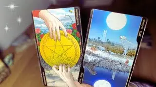 🌪️EXPECTATIVA, PRESIÓN E IMPULSO:¿TE LO DICE O NO SE ANIMA?😱
