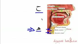 Arabic for beginners - Question - pronouncing haa ه and Haa ح
