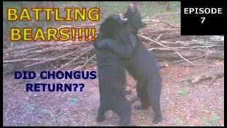 WISCONSIN BEAR HUNT EPISODE 7 (PARKERS QUEST)
