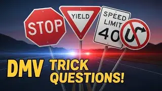 7 Essential Road Signs Every Driver Needs to Know