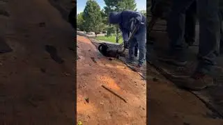 Tearing off wood shake roofs #roofing #roofer #construction #roofingcontractor #satisfying #rooftop