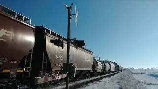 NS 9135 West With A Nice P5 Horn