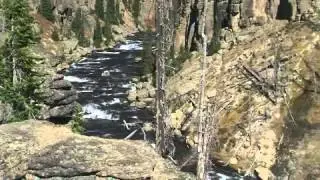 Wilderness Video