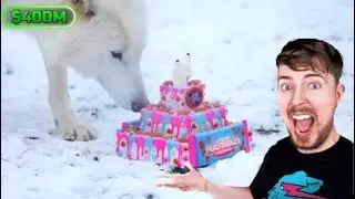 MrBeast gave a cake to the DIRE WOLVES?!