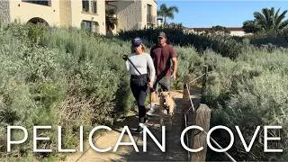 You Need This 20-Minute California Coast Walk (4K POV)