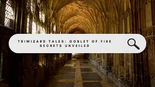 Triwizard Tales: Revealing Secrets of 'Harry Potter and the Goblet of Fire