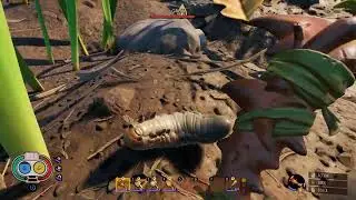 Grounded - Grub Can Dig through Stone