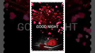 Good night gif😘😍