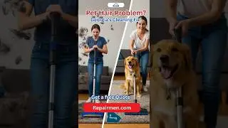 Pet Hair Everywhere? Let Georgia's Carpet Cleaners Handle It! | Free Quote