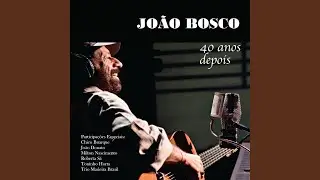 Caça A Raposa (Live)