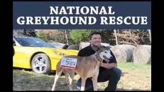 Tony Stewart Foundation Overview