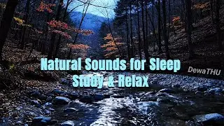 24/7 LIVE Deep Sleep River Sounds 🍁 Calming Nature for River Sounds / Nature Sounds / Sleep