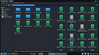 19 - CORRIGINDO ALGUMAS FALHAS NO MEU SCRIPT DO CAPITULO 5   LINUX FROM SCRATCH   12.1 SYSTEMD