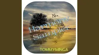 TommyMinga, Melody