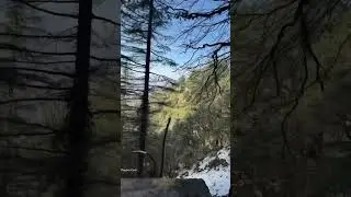 #ytshorts #music #fypage #theweeknd #roadtrip #mussoorie #snow #playboicarti #travelvlog #fyp #2026